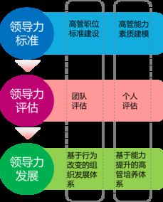 中智管理咨詢 專業(yè)企業(yè)管理咨詢服務(wù)助力企業(yè)發(fā)展